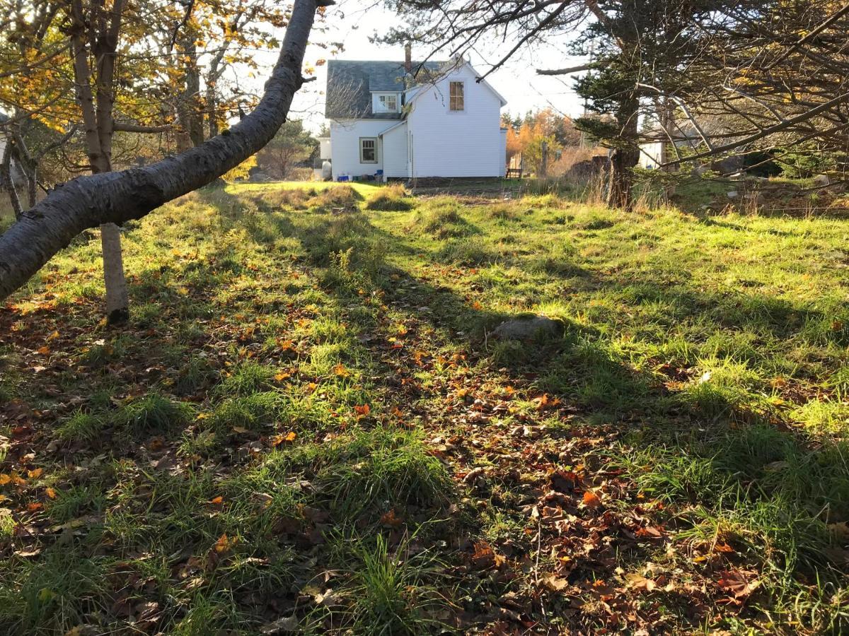 Studio 181 Bed & Breakfast Bed and Breakfast Port Clyde Exteriör bild